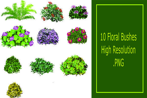 10 Floral Bushes: A Versatile Graphic Design Asset for Illustrations