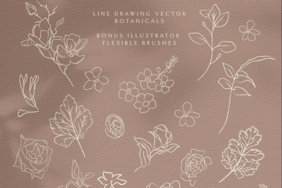 Line Drawing Botanicals for Commercial Graphics