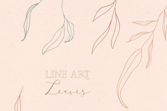 Line Drawing Leaves Illustrations in Color for Graphics and Illustrations
